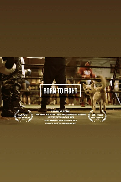 Born to Fight