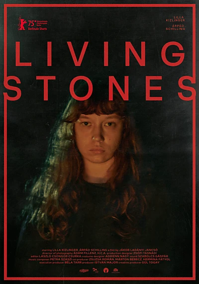 Living Stones