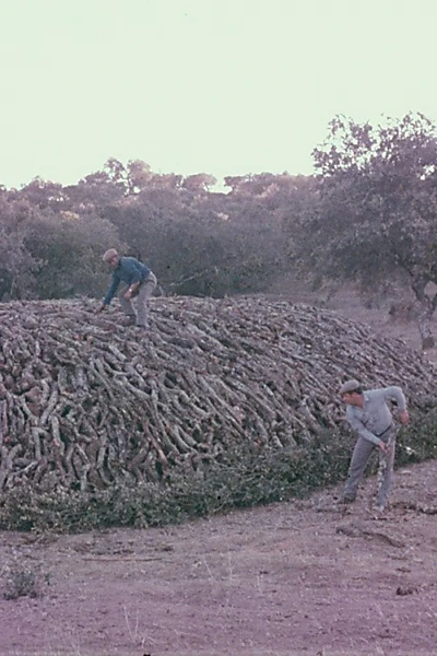 Encinares