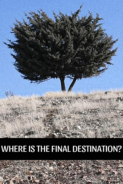 Where is the Final Destination?