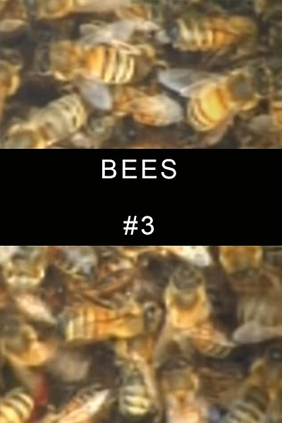 Bees #3