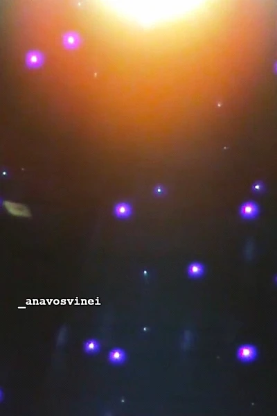 _anavosvini