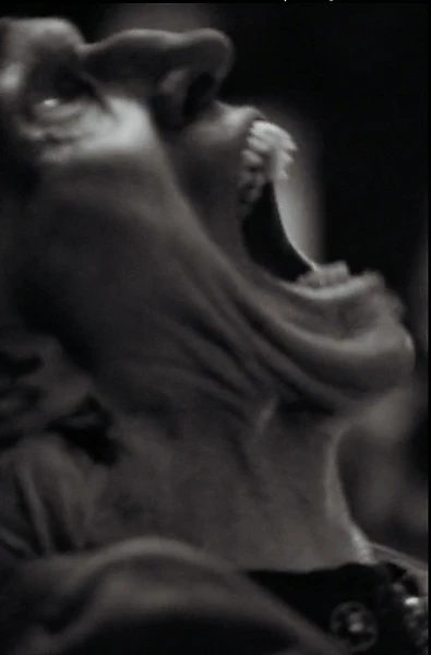 The Vampyre