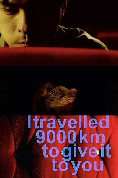I Travelled 9000 km to Give It to You