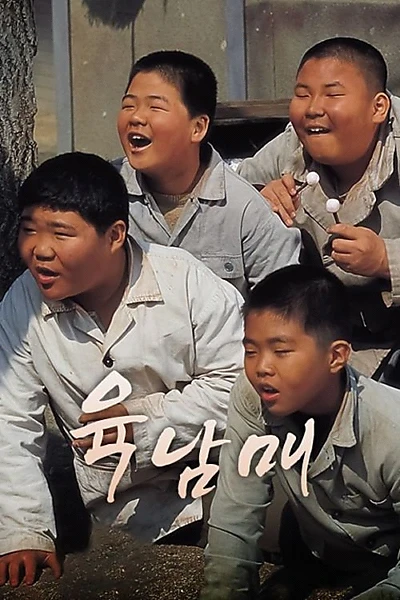 육남매