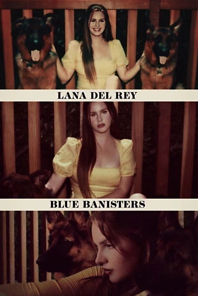 Blue Banisters