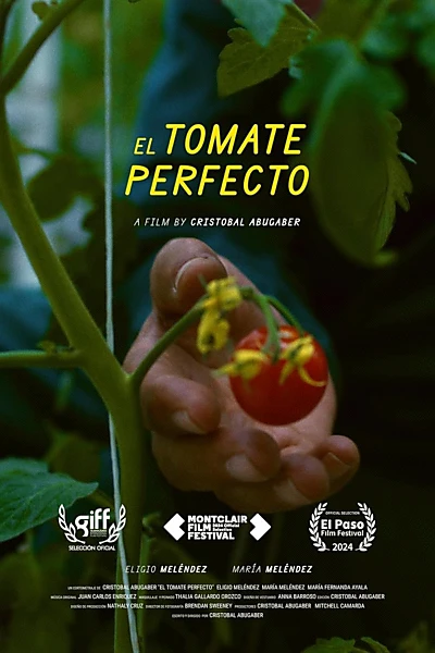 The Perfect Tomato
