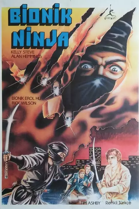 Ninja Assassins