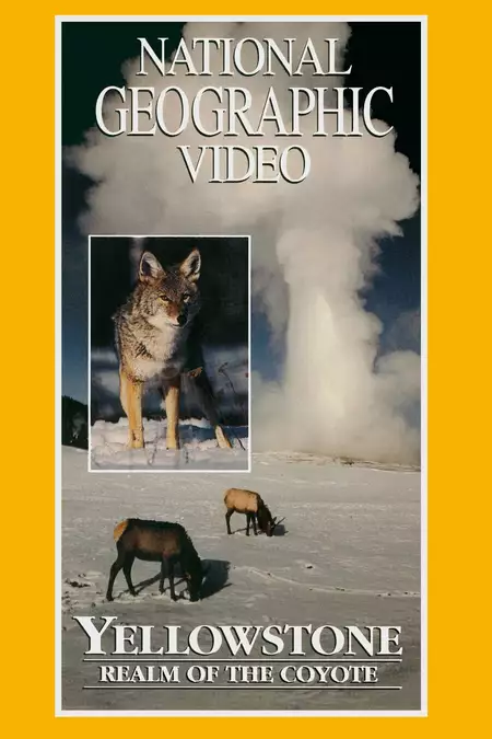 Yellowstone: Realm of the Coyote