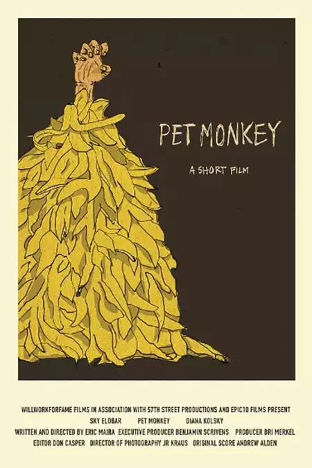 Pet Monkey