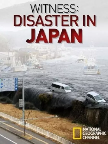 Witness: Disaster in Japan