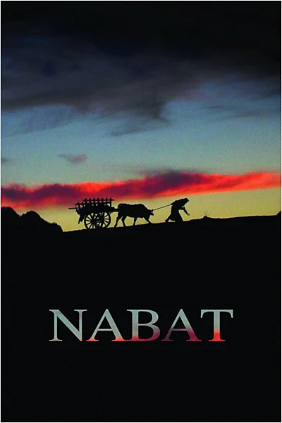 Nabat