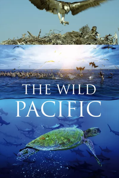 The Wild Pacific