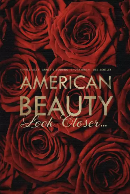 American Beauty: Look Closer...