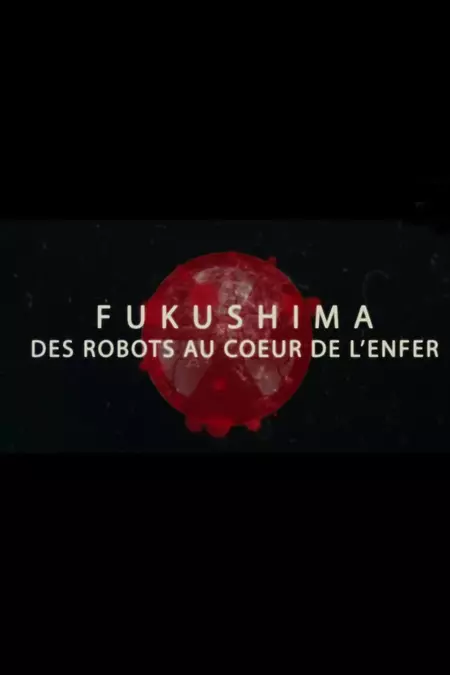 Fukushima, des robots au cœur de l'enfer