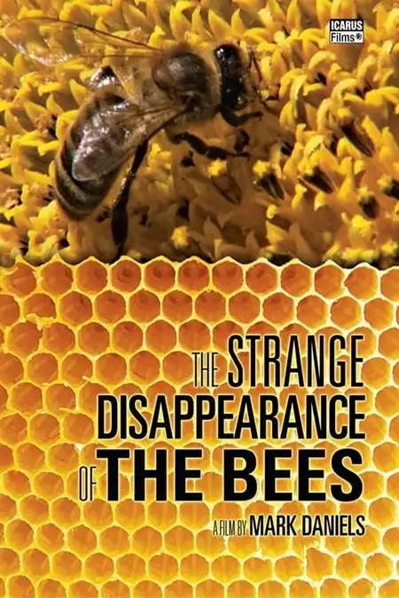 The Strange Disappearance of the Bees