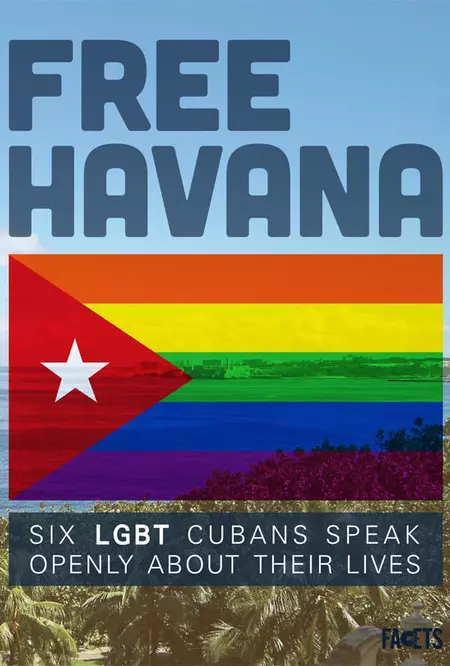 Free Havana