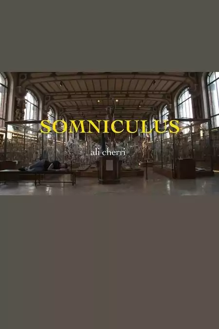 Somniculus