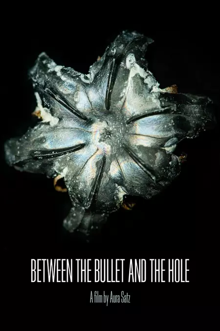 Between the Bullet and the Hole