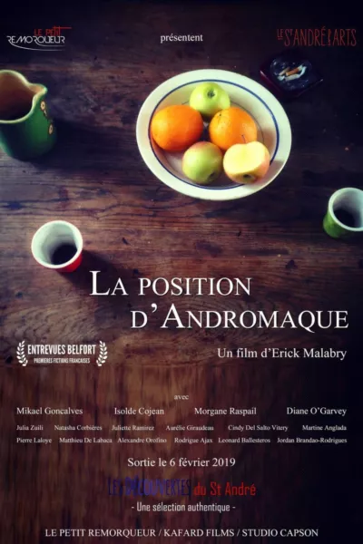 La Position d'Andromaque