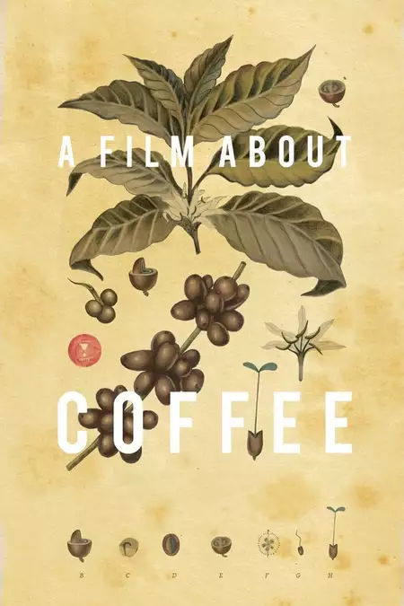 A Film About Coffee