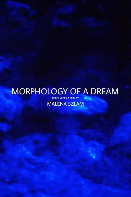 Morphology of a Dream