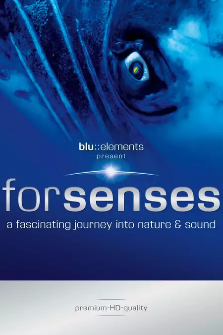 Forsenses - A Fascinating Journey into Nature & Sound