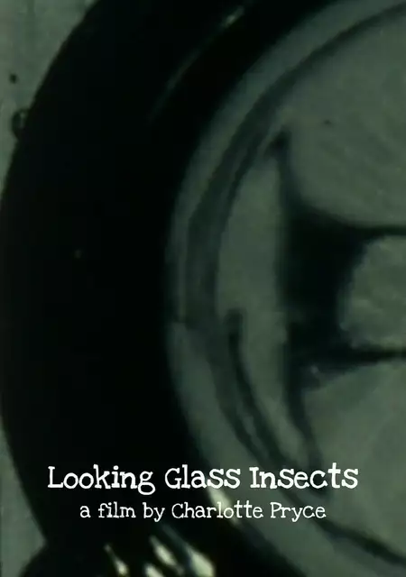 Looking Glass Insects