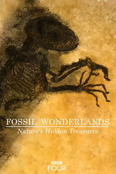 Fossil Wonderlands: Nature's Hidden Treasures