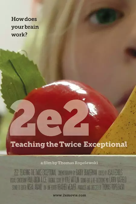 2e2: Teaching the Twice Exceptional