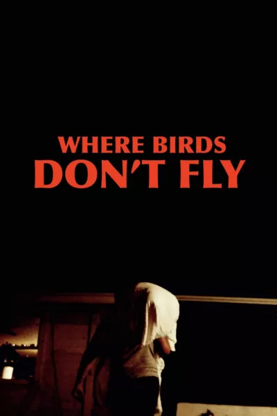 Where Birds Don't Fly