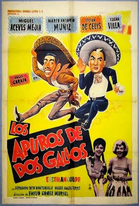 Los apuros de dos gallos