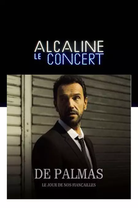 Gérald de Palmas - Alcaline le Concert