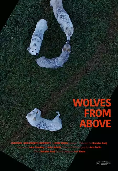 Wolves From Above