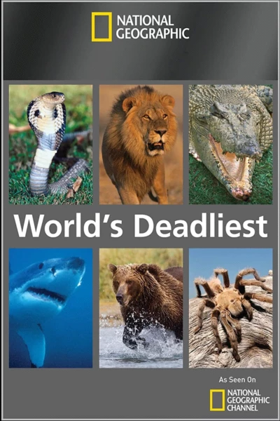 World's Deadliest