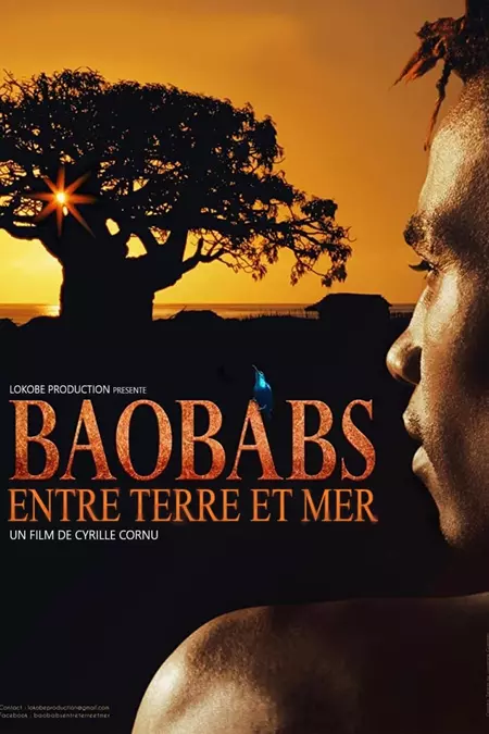 Baobabs between Land and Sea
