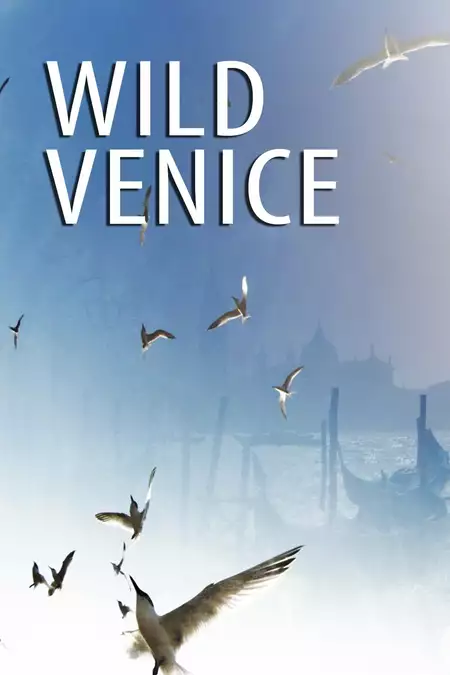 Wild Venice