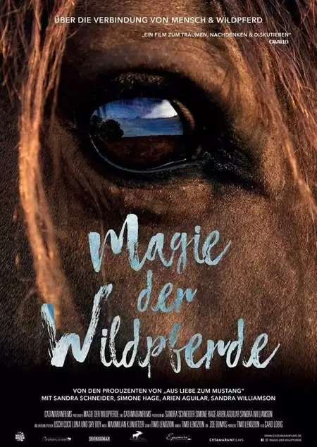 Magic of the Wild Horses