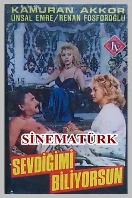 Sevdiğimi Biliyorsun