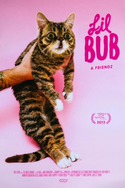 Lil Bub & Friendz