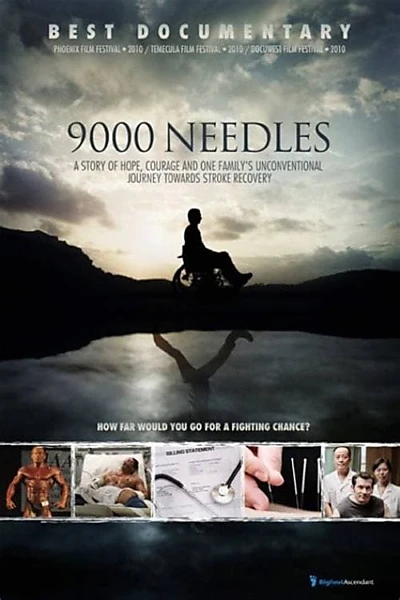 9000 Needles