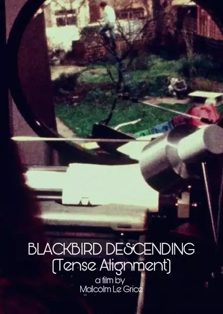Blackbird Descending - Tense Alignment