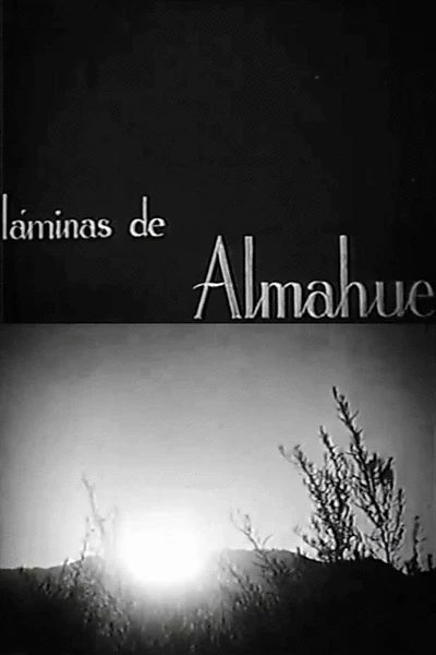 Láminas de Almahue