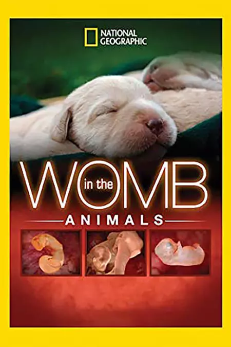 In The Womb: Animals
