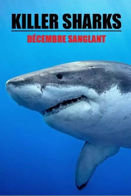 Killer Sharks : The Attacks Of Black December