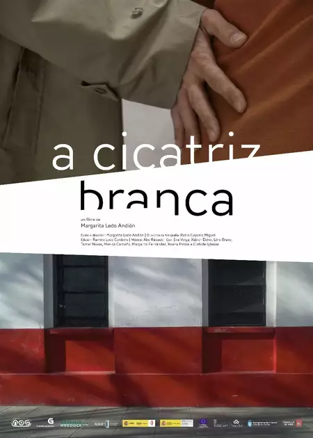 A cicatriz branca