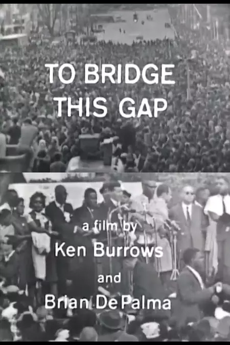 To Bridge This Gap