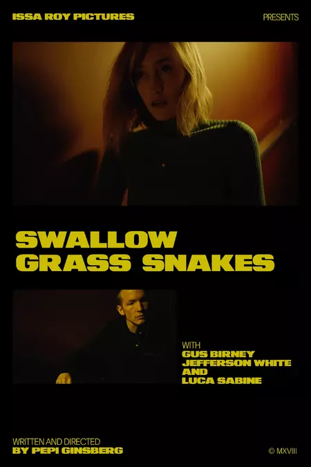 Swallow Grass Snakes