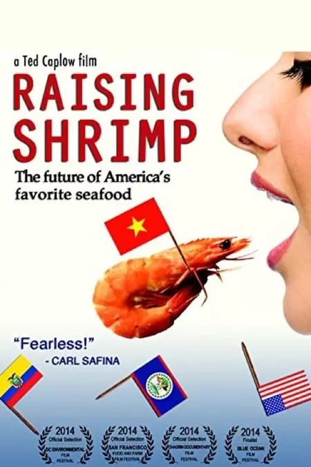 Raising Shrimp