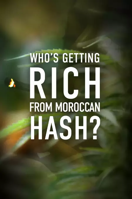 Who’s Getting Rich from Moroccan Hash?